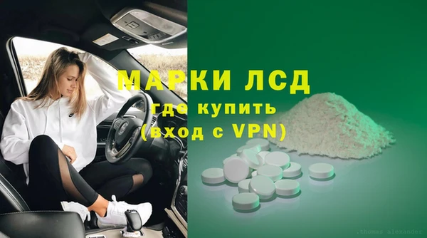 крисы Алзамай