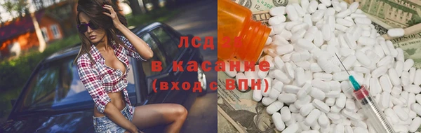крисы Алзамай