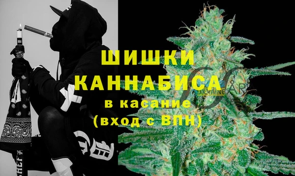 крисы Алзамай